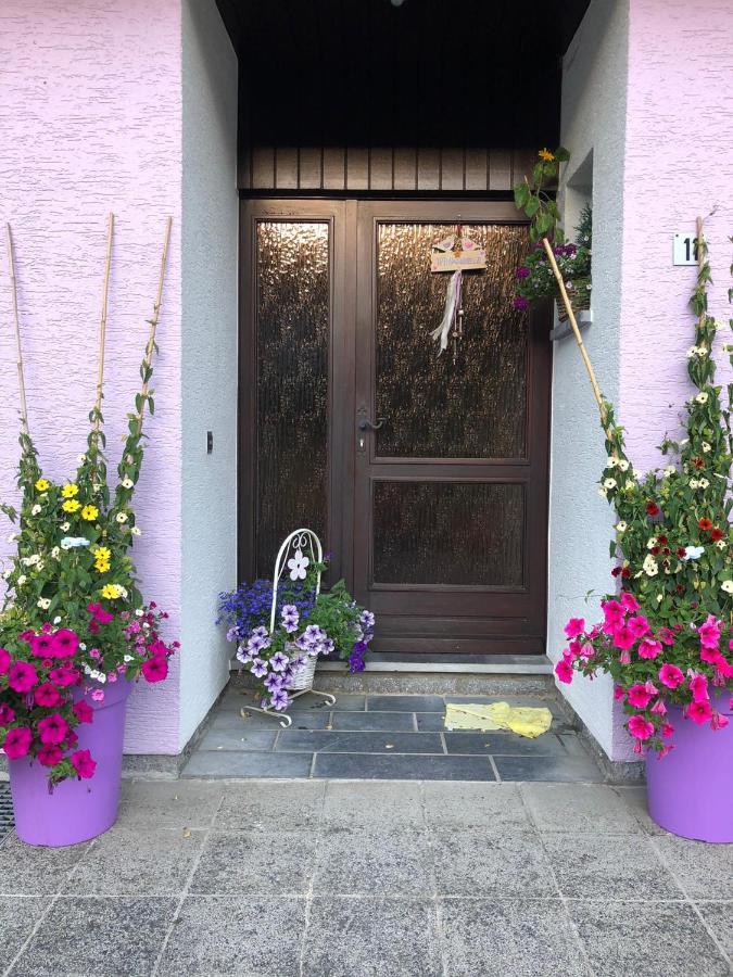 Haus Zissi Burg Reuland Exterior foto